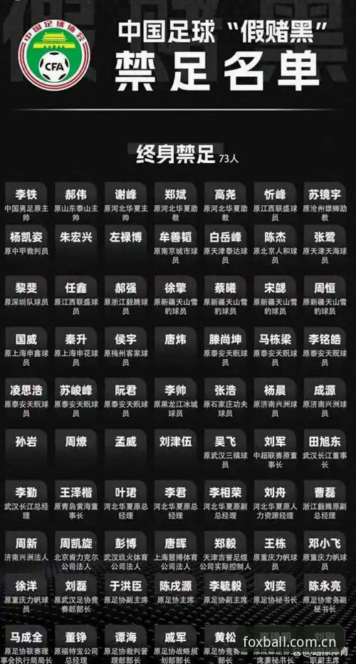 火狐体育平台 中国足协第三批禁足名单深度解析:从火狐体育平台看职业足球反腐风暴的连锁反应